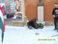 /album/dec-1-2014/sdc10077-jpg/